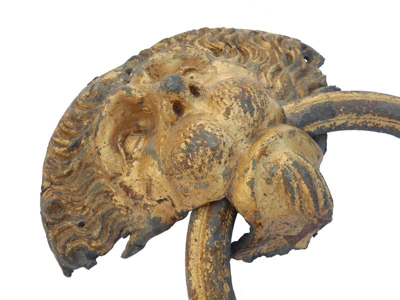 Bližší bočný pohľad na leviu tvár Zdroj: KPÚ Trnava (Foto: M. Sládok)