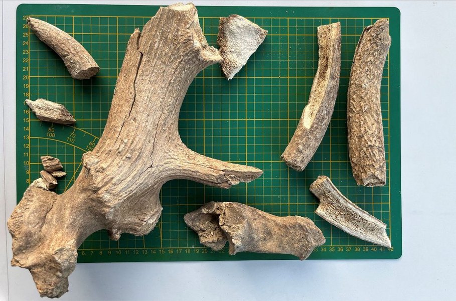 Ostatky pred rekonštrukciou. Foto nálezca