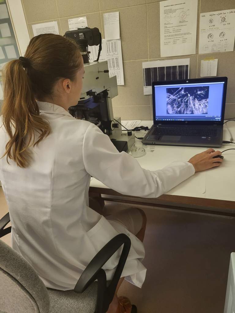 Eva Čelková vyhodnocuje snímky optickej mikroskopie, foto: PÚSR